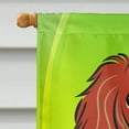 thumbnail image 3 of Carolines Treasures BB1958CHF Longhair Red Dachshund St. Patricks Day Canvas House Flag, 3 of 4