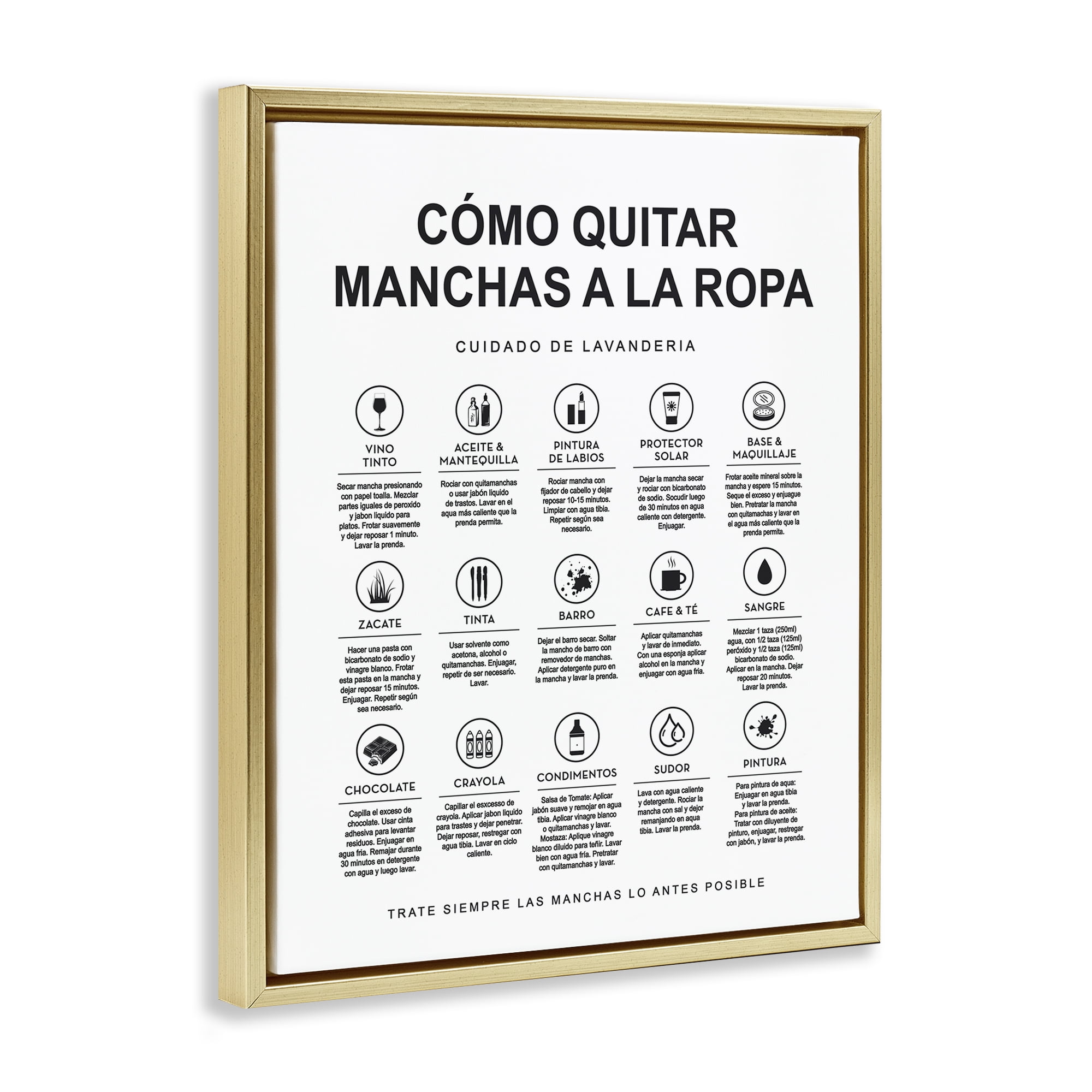 Stupell Industries Guía de Limpieza de Manchas Bath & Laundry Painting Gold Floater Framed Art Print Wall Art, 25 x 31