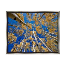 Looming Woodland Foliage Trees Landscape Photograph Luster Gray Framed Art Print Wall Art