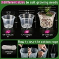 thumbnail image 2 of 9 Pack Clear Pot With Holes For Repotting, 3 Each Of 4.8, 5.7 And 6.4 Inch, Plastic Flower Plant Pot Indoor Outdoor, 2 of 5