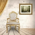 thumbnail image 3 of PhotoINC Studio 18x15 Gold Ornate Wood Framed with Double Matting Museum Art Print Titled - Green Works, 3 of 4