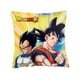 thumbnail image 1 of Cojín Decorativo Goku Y Vegeta Estándar Poliéster Concord Colchas Concord Goku y Vegeta, 1 of 2
