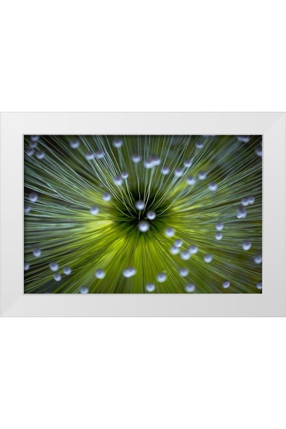 Faber, Wave 14x11 White Modern Wood Framed Museum Art Print Titled - Inverted Commas