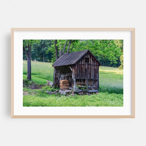 Old Chicken Coop, York County PA - Pennsylvania Photography Barn Farmhouse Rustic Rural Countryside Pastoral Landscape Oak Framed Wall Art Print 12 x 18 inches
