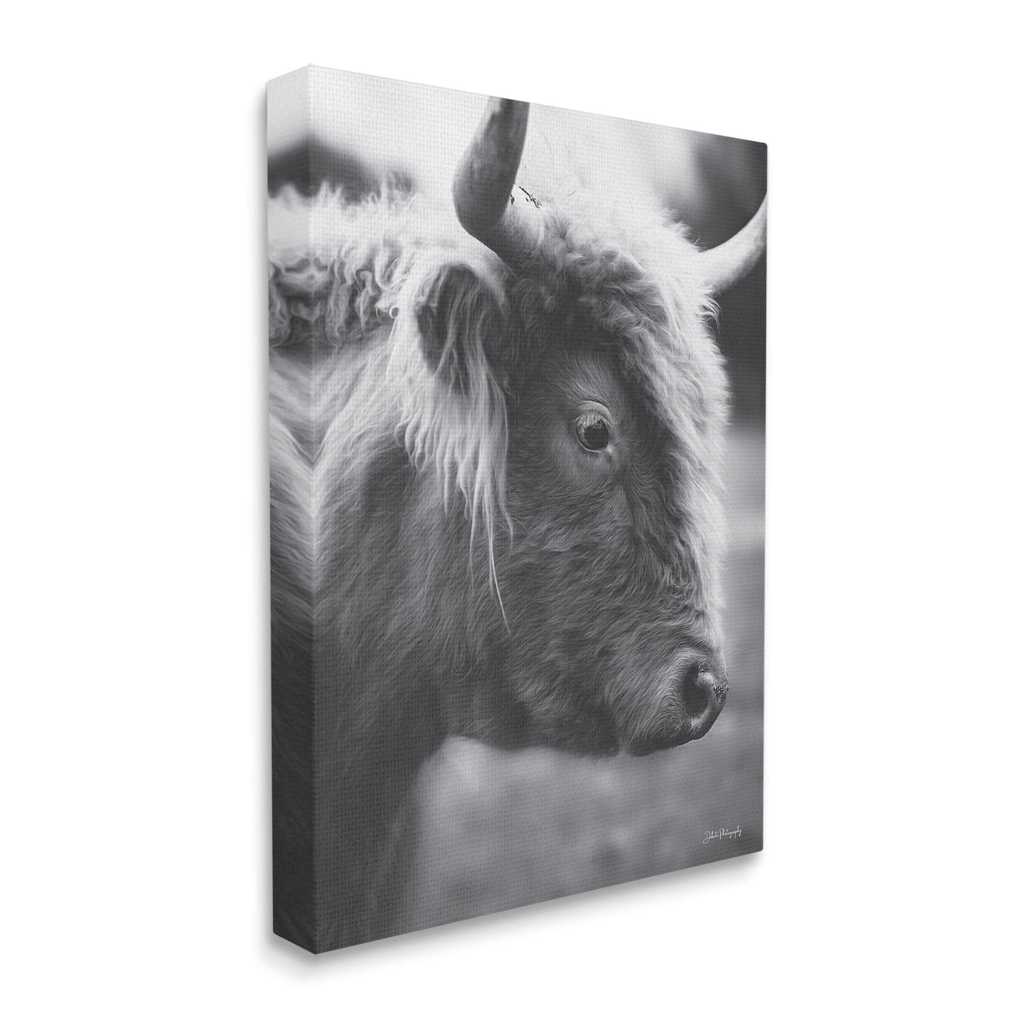 Stupell Close Up Cattle Face Photography Animals & Insects Photography Gallery Wrapped Canvas Print Wall Art