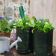 thumbnail image 2 of Bolsa para Cultivo de Patatas de Jardín de 2 Piezas, Telas de PE, Maceta Gruesa para Jardinería, Maceta para Verduras con Asas y Solapa de Acceso,A, 2 of 5