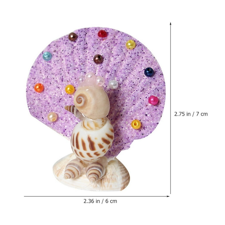 2Pcs Sea Shells for Decorating Shells Zodiac Decoration Sea Shell Ornaments  Shell Decoration (Random Style)