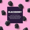 thumbnail image 4 of Hypothermias BLACKBERRY (16 Fl Oz) Handcrafted Hawaiian Snow Cones Flavor Syrups for Drinks, Coffee, Shaved Ice & Slushie, Piraguas, Raspados, Soda Flavor Syrup, 100% Pure Cane Sugar, 4 of 10