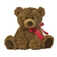 thumbnail image 1 of Aurora - Osito Marrón Medio - Coco Bear de 10,5" - Peluche Cómodo, 1 of 4
