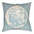 thumbnail image 2 of Indoor Outdoor LGCB2009-2020 Square 20" x 20" Pillow Cover + Polyfill, 2 of 7