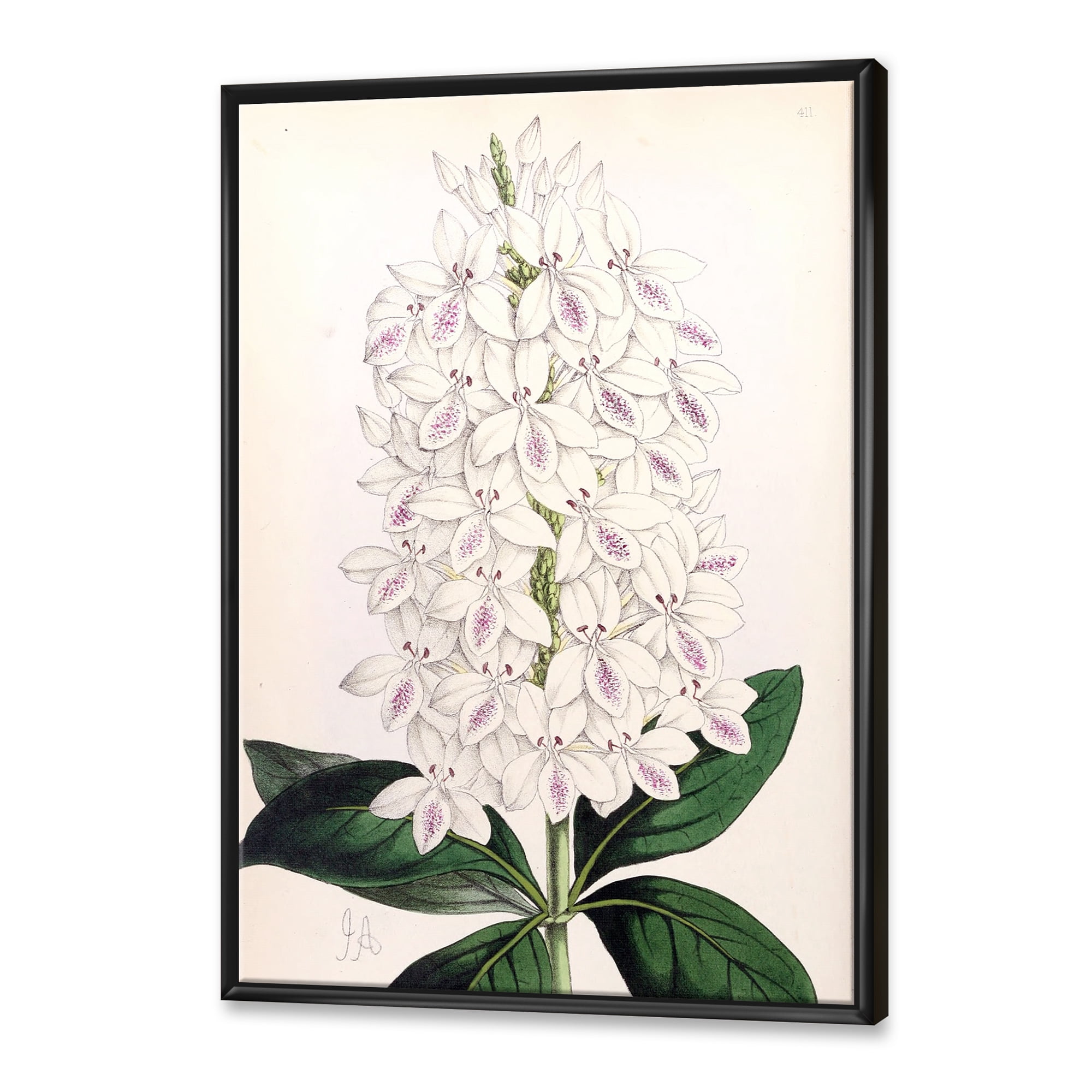Designart 'Ancient White Orchid III' Traditional Framed Canvas Wall Art Print