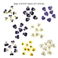 thumbnail image 3 of Injueey 12 Pieces Dried Flower Crafts Simple Accessories Craft DIY Make Adornment Pressed Exquisite Handicrafts Flowers Makeup Type4 NO4, 3 of 6
