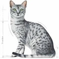 thumbnail image 5 of Royal Canin Indoor Sterilised Cat Wet Food in Jelly 12x85g, 5 of 7