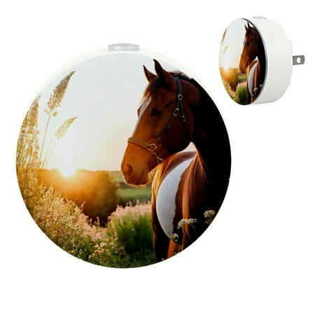 

YZUOUZY Night Light Small Lamp Bedside Lamps Set of 2 Paint Dusk Mare