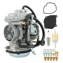 waltyotur Carburetor Replacement for Bear Tracker 250 YFM250 2WD 1999 2000 2001 2002 2003 2004