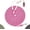 Pink, variant on Long Rope Dog Leash for Dog Training 12FT 20FT 30FT 50FT, Reflective Threads Dog Cat Leashes Tie-Out Check Cord Recall Training Agility Lead for Large Medium Small Dogs (Orange, 10mm*12ft)