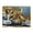 500 Pieces, variant on 500 Piece Majestic Leopard Jigsaw Puzzle For Adults – Vibrant Wildlife Art, Challenging & Relaxing Brain Exercise Game, Ideal Gift & Home Decor For Animal Lovers