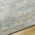 thumbnail image 6 of BoutiqueRugs Pavan Traditional Area Rug - Peach, Blue, Medium Gray - 5'3" x 7', 6 of 7