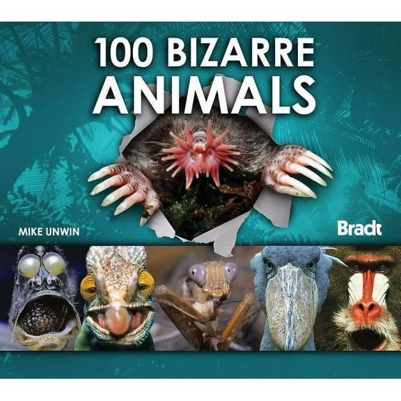 100 Bizarre Animals (Edition 1) (Hardcover)