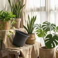 thumbnail image 5 of 100 Pcs Plastic Plants Nursery Pots Bulk with Drainage Holes, Thickened Soft Black Seedling Pots with Drainage Holes, Flower Plant Containers for Succulents Supply, 5 of 6