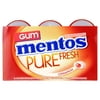 Mentos Pure Fresh Sugar-Free Chewing Gum, Cinnamon, 50 Regular Size Pieces (6 Pack, 300 Total Pieces)