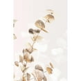 thumbnail image 2 of Artographie Studio 11x14 Black Modern Framed Museum Art Print Titled - Eucalyptus Creative Gold 02, 2 of 4
