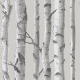 thumbnail image 1 of NU1694 Mountain Birch Grey Peel & Stick Wallpaper, 1 of 3