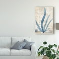 thumbnail image 3 of Trademark Fine Art 'Seaweed Arrangement II' Canvas Art by Vision Studio, 3 of 4