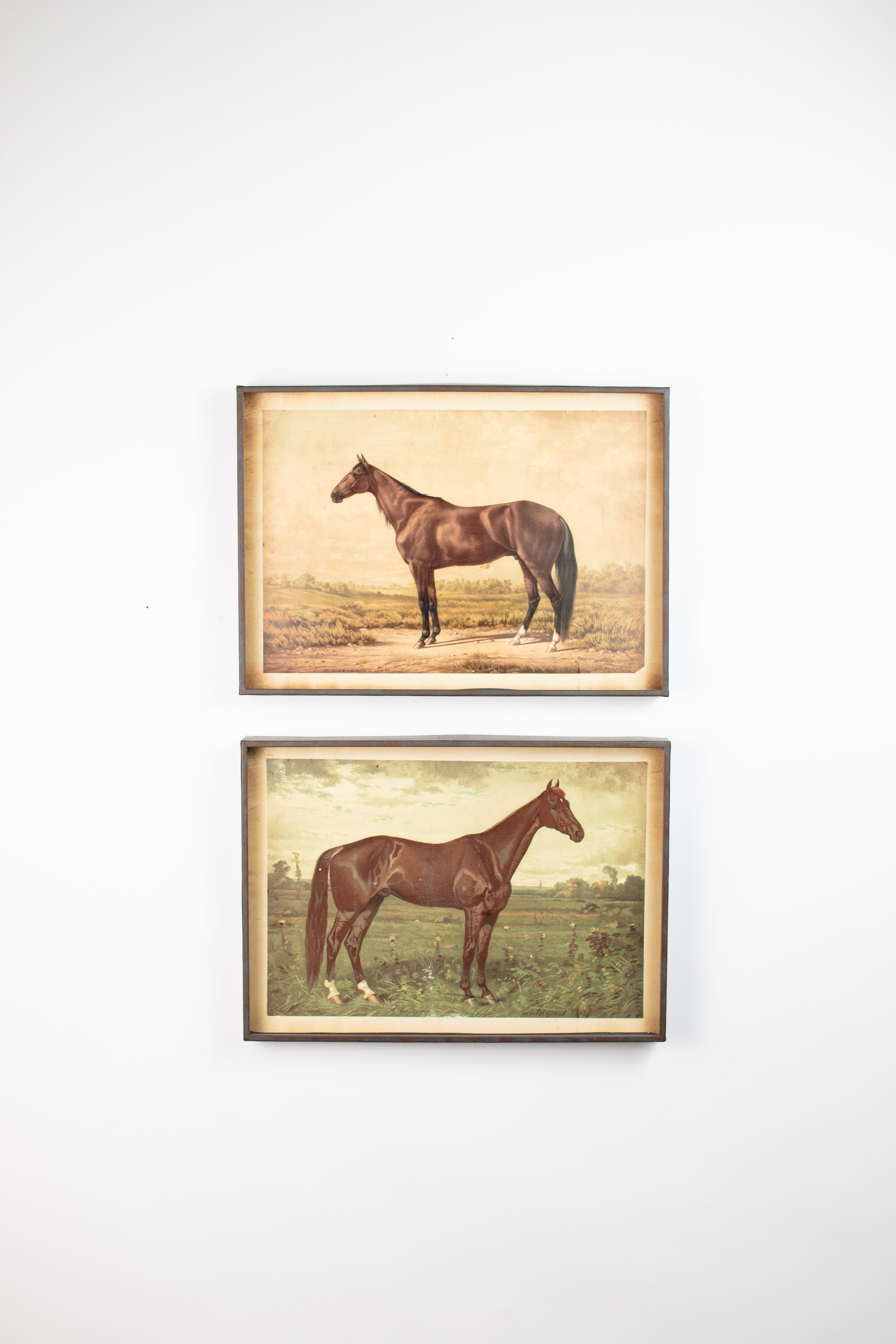 Kalalou Horse Prints - Thumbnail 5