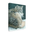 thumbnail image 2 of Trademark Fine Art 'Cold Evening' Canvas Art by Carla Kurt, 2 of 3