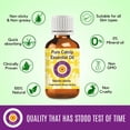 thumbnail image 2 of Deve Herbes Catnip Essential Oil (Nepeta Cataria) - 1.01 Fl Oz (30ml) - 100% Natural Catnip Oil - for Relaxation, Insect Repellent & Aromatherapy - without Dropper, 2 of 5