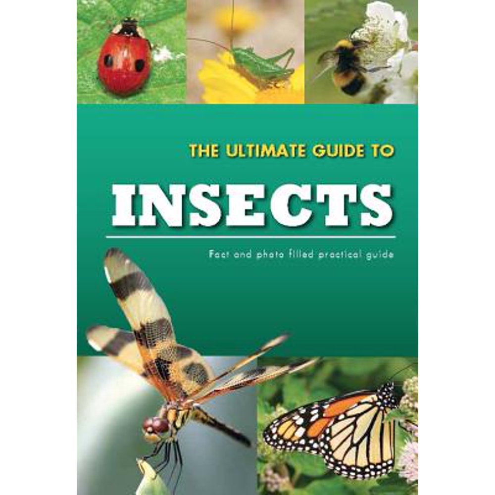 Practical Guides The Ultimate Guide to Insects (Paperback) Walmart