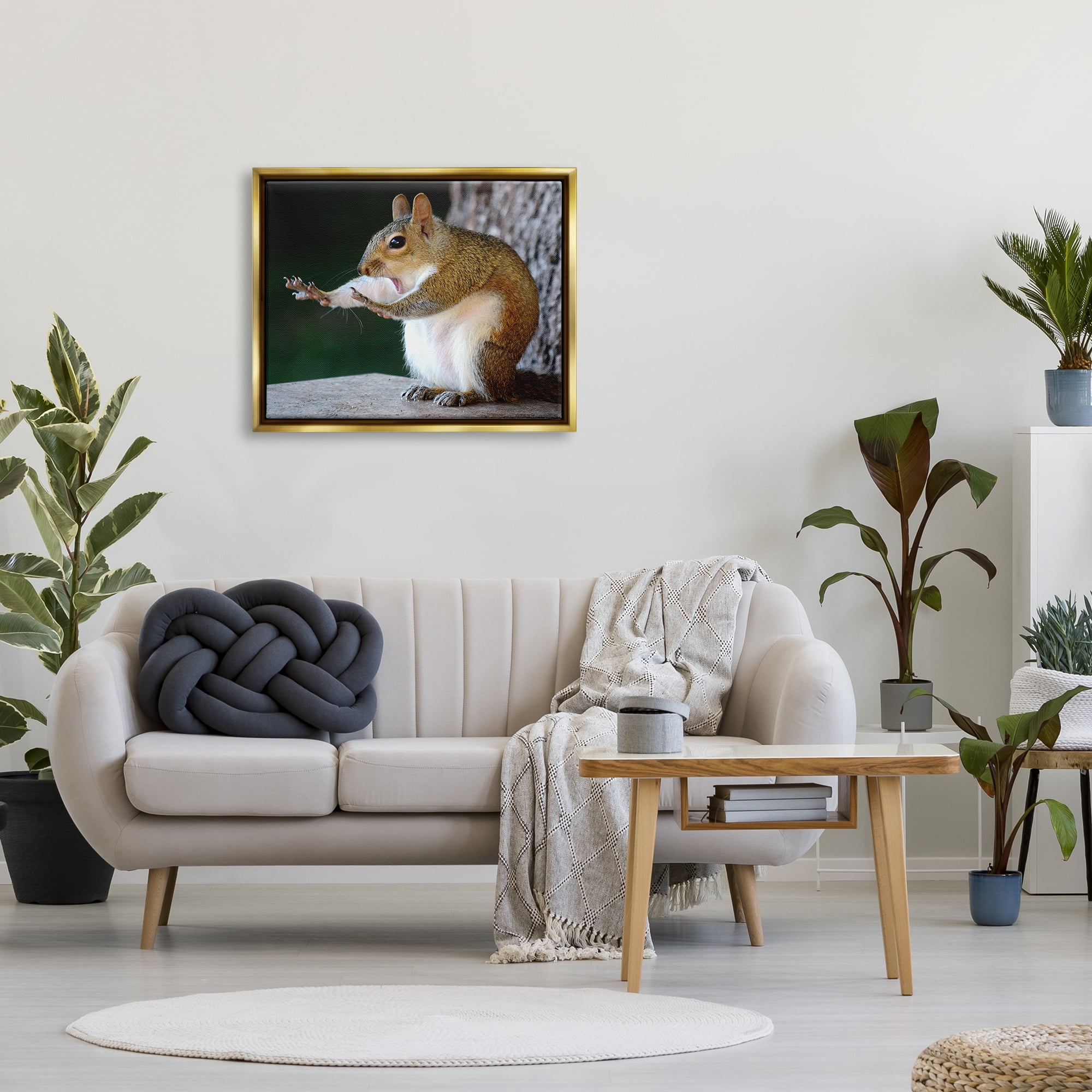 Stupell Industries Funny Shocked Pose Squirrel Animals & Insects Photography Gold Floater Framed Canvas Art Print Wall Art, 31 x 25