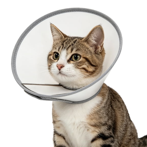 Adjustable Pet Cone Collar, Clear Elizabethan Recovery Collar for Cats and Dogs, Anti-Lick Protective E-Collar, Medium (10.2-13in Neck)