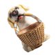 thumbnail image 5 of unbranded 1Ud Caja Para Almacenamiento Y De Escritorio Con De Perro En Resina, 5 of 8