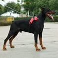 thumbnail image 1 of JANDEL Durable Dog Medium And Large Dogs Training Explosion-proof Vest Harnesses, 1 of 8