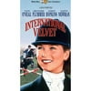 International Velvet (Full Frame)
