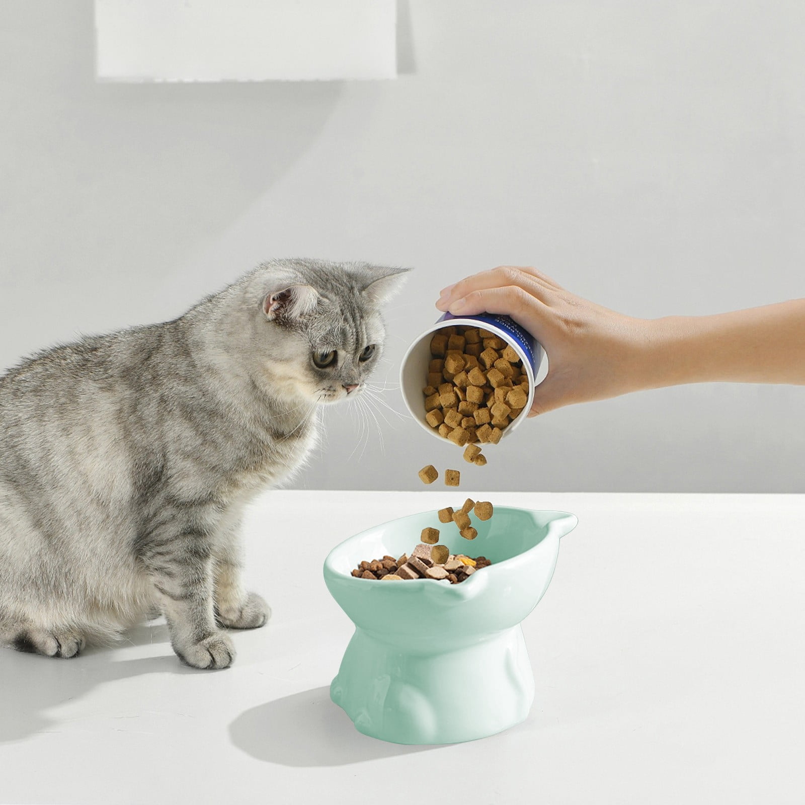 Elevated Dog Bowl for Small Dogs Pet Bowls,Food Bowl Cat Large Cat Food Bowl,Small Ceramic Dog Bowl Cute Cat Food Bowl,Cat Water Bowl Wet Cat Food Bowl