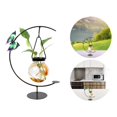thumbnail image 3 of PENGXIANG Wrought Iron Geometric Hydroponic Glass Semi-circular Arc-vase Decoration, 3 of 6