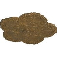 thumbnail image 3 of Ekena Millwork 25 5/8"OD x 1"P Shell Ceiling Medallion, Hand-Painted Rubbed Bronze, 3 of 6
