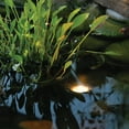 thumbnail image 2 of Pond Boss 2.24 ft. 12 V Pond and Landscape Lights, 2 of 7