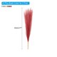 thumbnail image 2 of Uxcell Hierba de Pampa Falsa Decoración Boho para Decoración del Hogar Tallo Artificial Esponjoso Alto (Dorado/Rojo Vino/Marrón Oscuro), 2 of 6