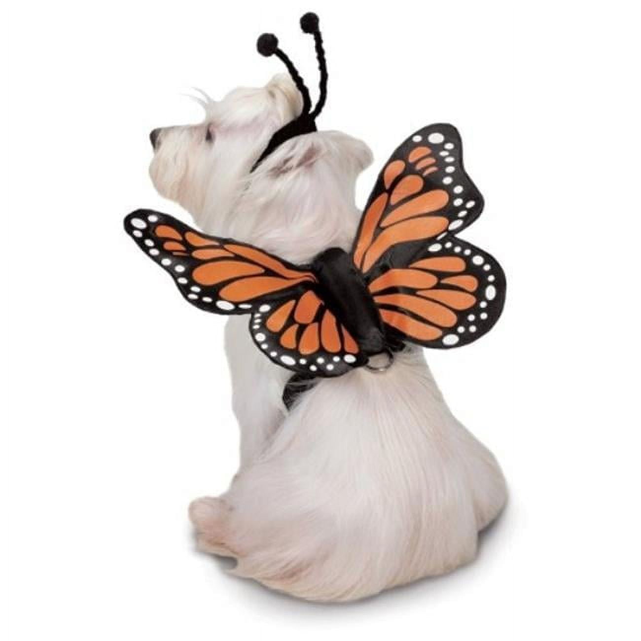 Zack & Zoey Butterfly Glow Harness Costume for Dogs, Small