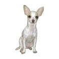 thumbnail image 2 of CafePress - Chihuahua (W) Mug - 11 oz Ceramic Mug - Novelty Coffee Tea Cup, 2 of 4