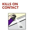 thumbnail image 4 of Raid Ant, Roach, and Earwig Insect Killer, for Indoor and Outdoor Use, 350g, 4 of 8