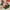 A-MIX Color-5Pairs, variant on Dalrosia 5 Pairs Women Christmas Fuzzy Socks Fluffy Socks Winter Warm Cozy Striped Socks Crew Socks