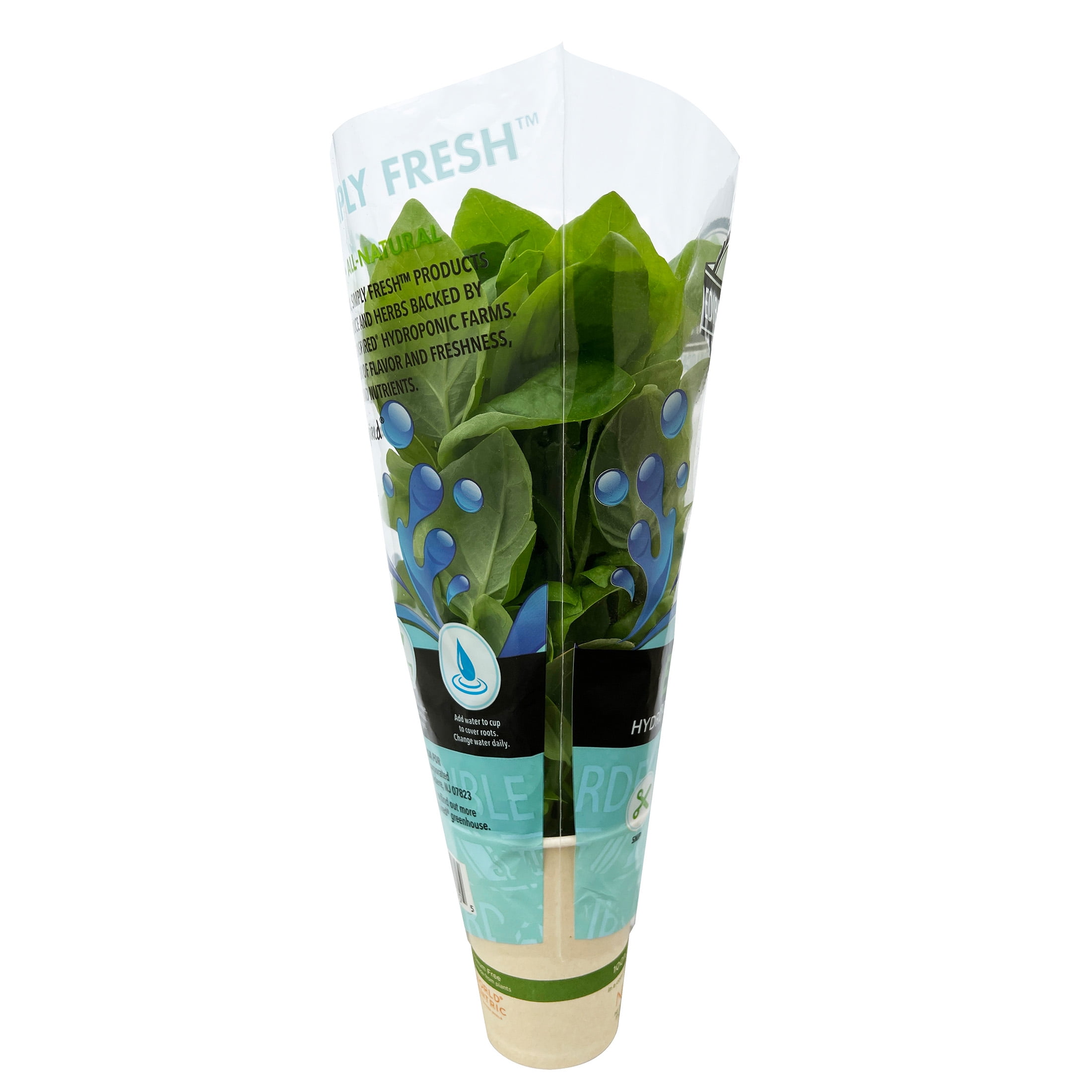 Edible Garden Hydroponic Basil Plant, Sunlight