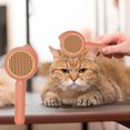 thumbnail image 1 of Needle Hair Comb For Dogs And Cats Small Conch Dense Teeth Comb Stainless Steel Needle Massage Comb, 1 of 6