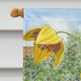 thumbnail image 3 of Carolines Treasures ASA2114CHF Drapeau en Toile Taille Maison, 3 of 4