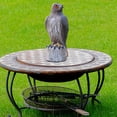 thumbnail image 4 of Ornement de Bureau Réaliste Oiseau de Jardin Taille Réelle Suspendue, 4 of 9